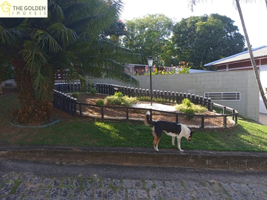 Fazenda à venda com 3 quartos, 337m² - Foto 13