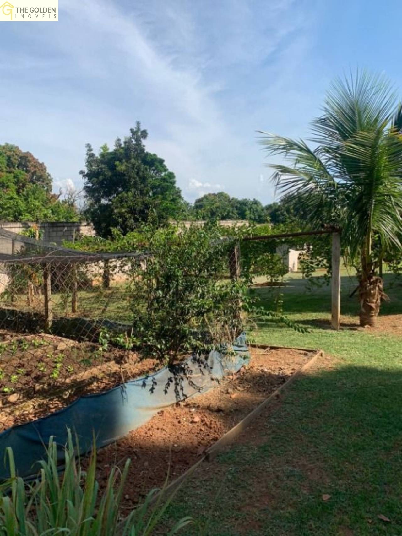 Sobrado à venda com 3 quartos, 5000m² - Foto 6