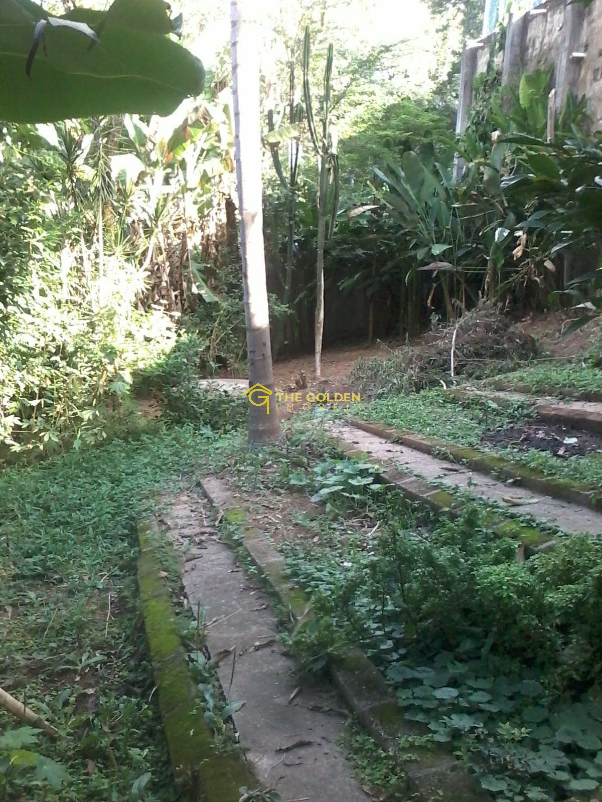 Fazenda à venda com 5 quartos, 300m² - Foto 6