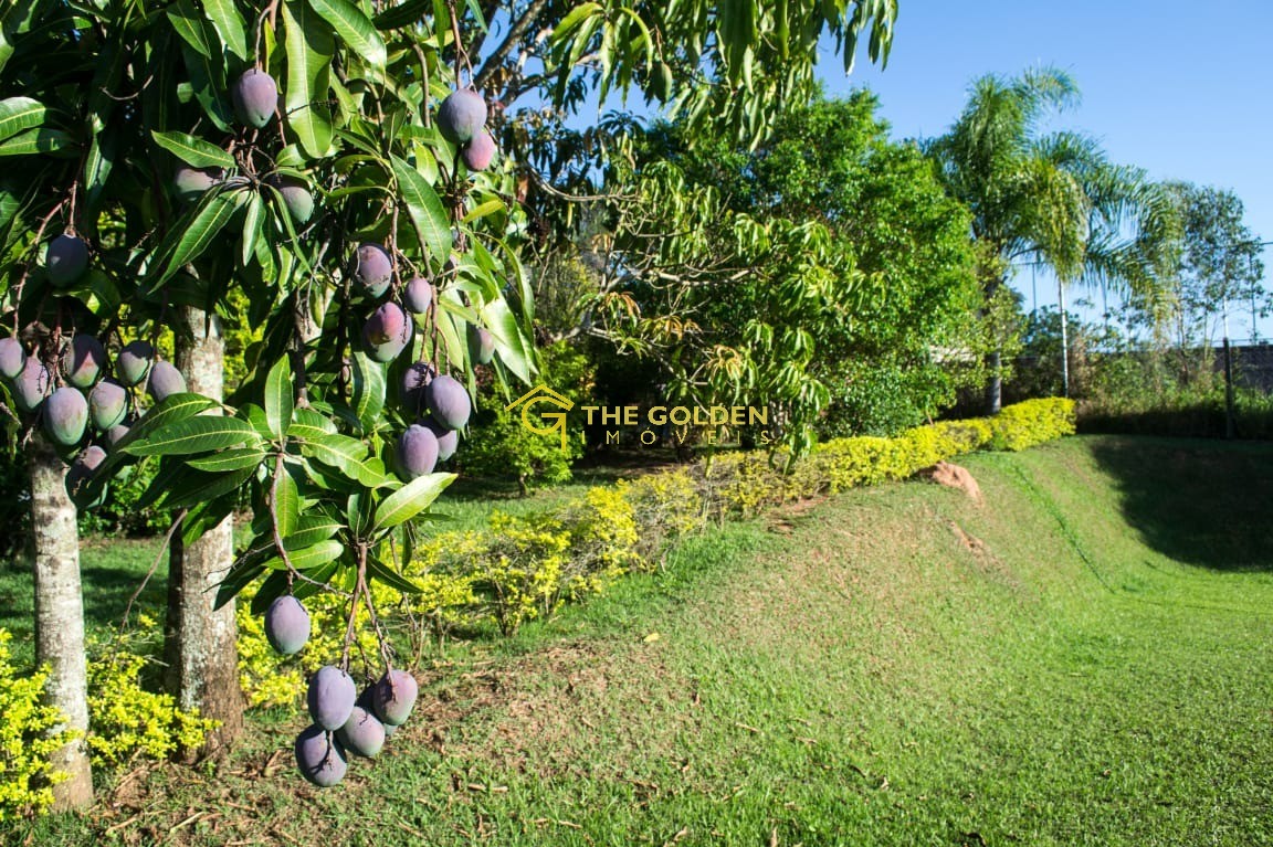 Fazenda à venda com 5 quartos, 2000m² - Foto 5