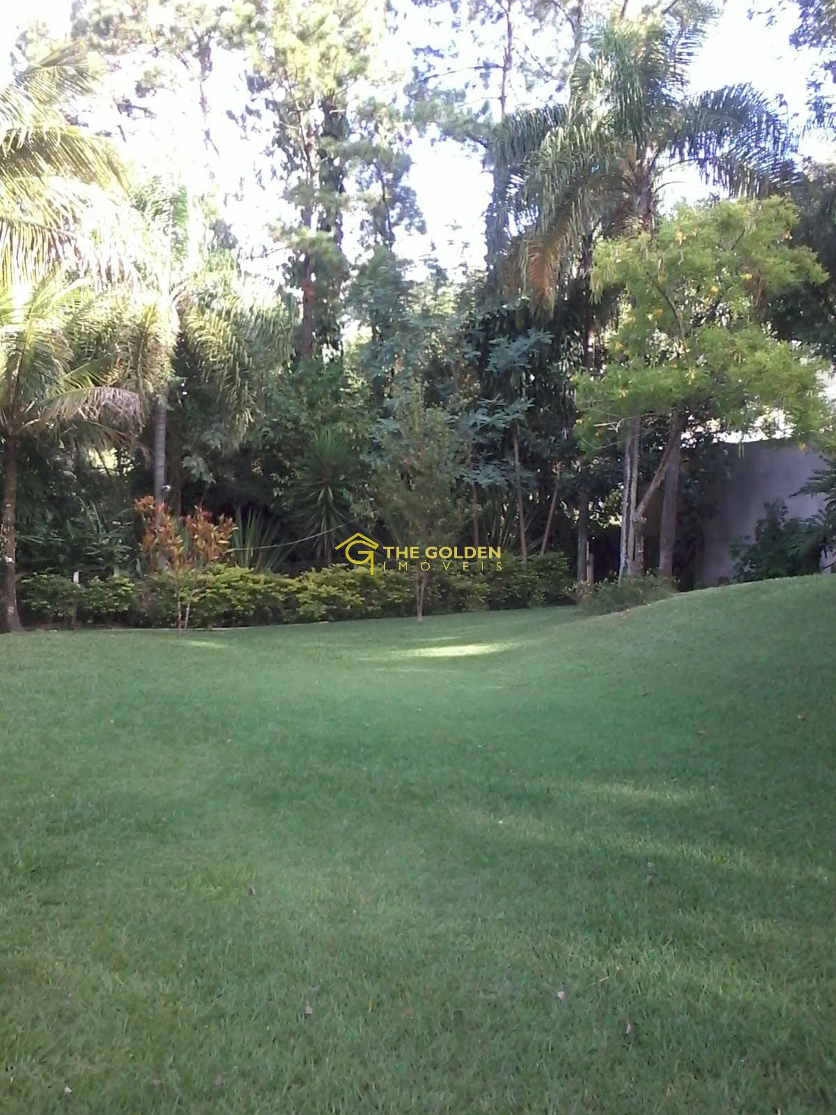 Fazenda à venda com 5 quartos, 300m² - Foto 9