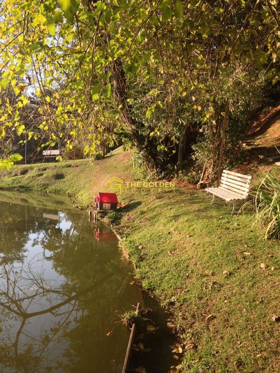 Fazenda à venda com 4 quartos, 1746m² - Foto 3