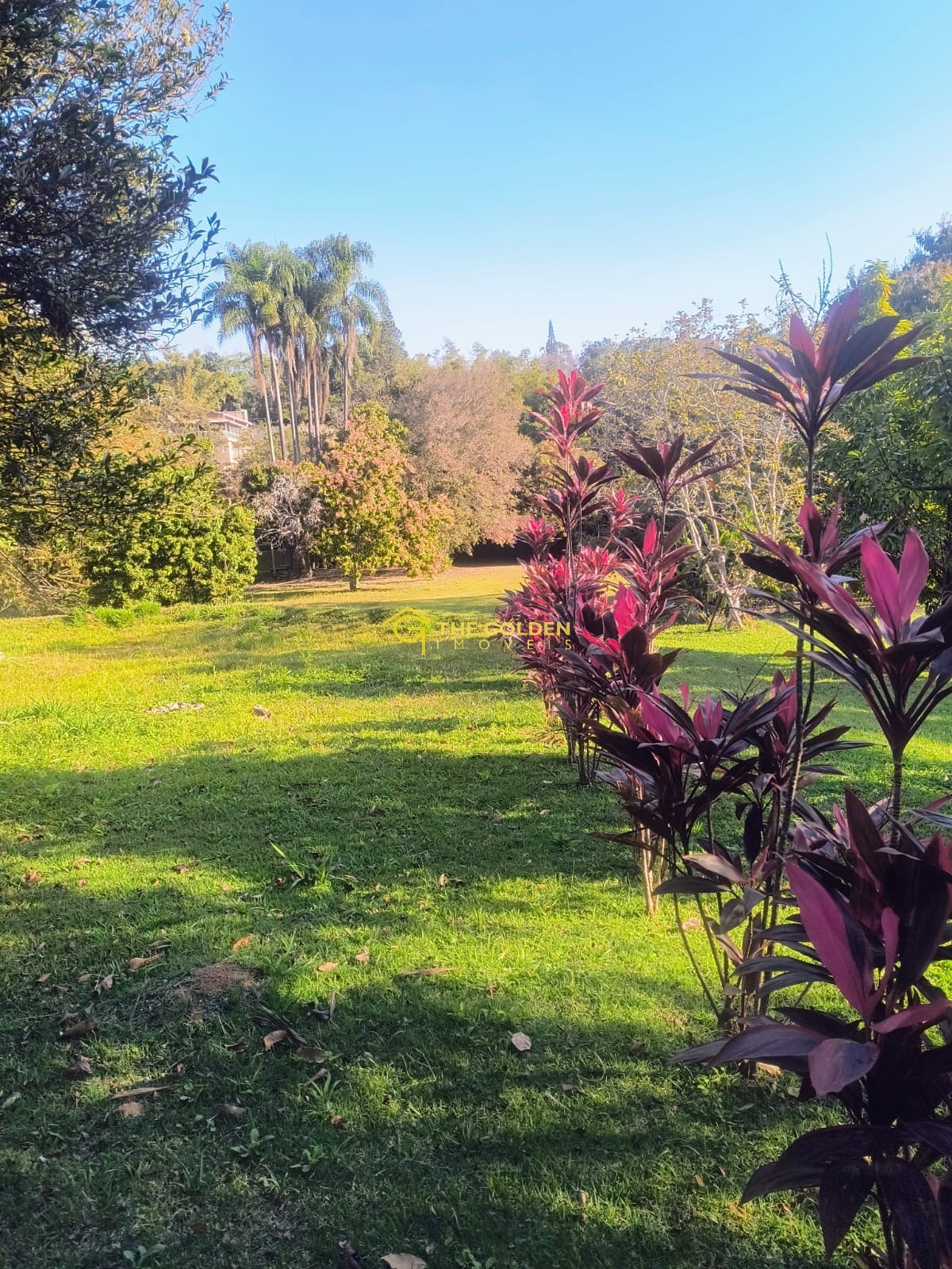 Terreno à venda, 5250m² - Foto 2