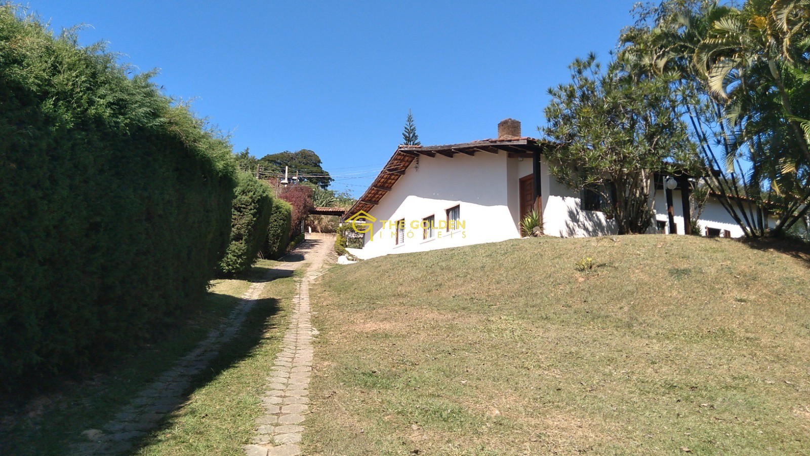 Fazenda à venda com 4 quartos, 5300m² - Foto 10