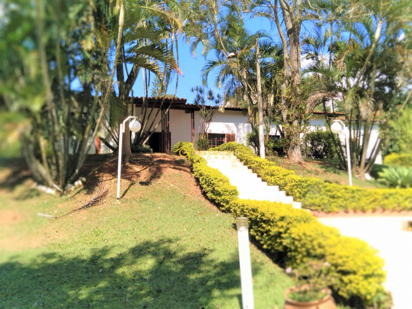 Fazenda à venda com 4 quartos, 5300m² - Foto 7