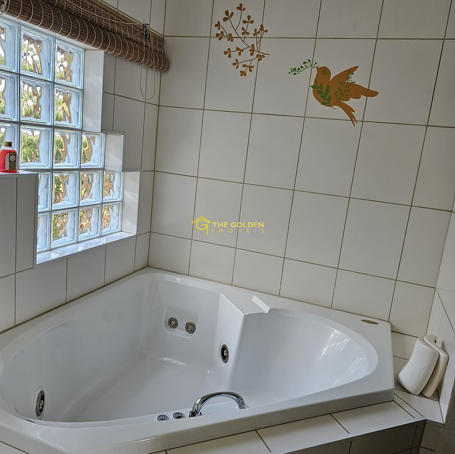 Chácara, 2 quartos, 1000 m² - Foto 17