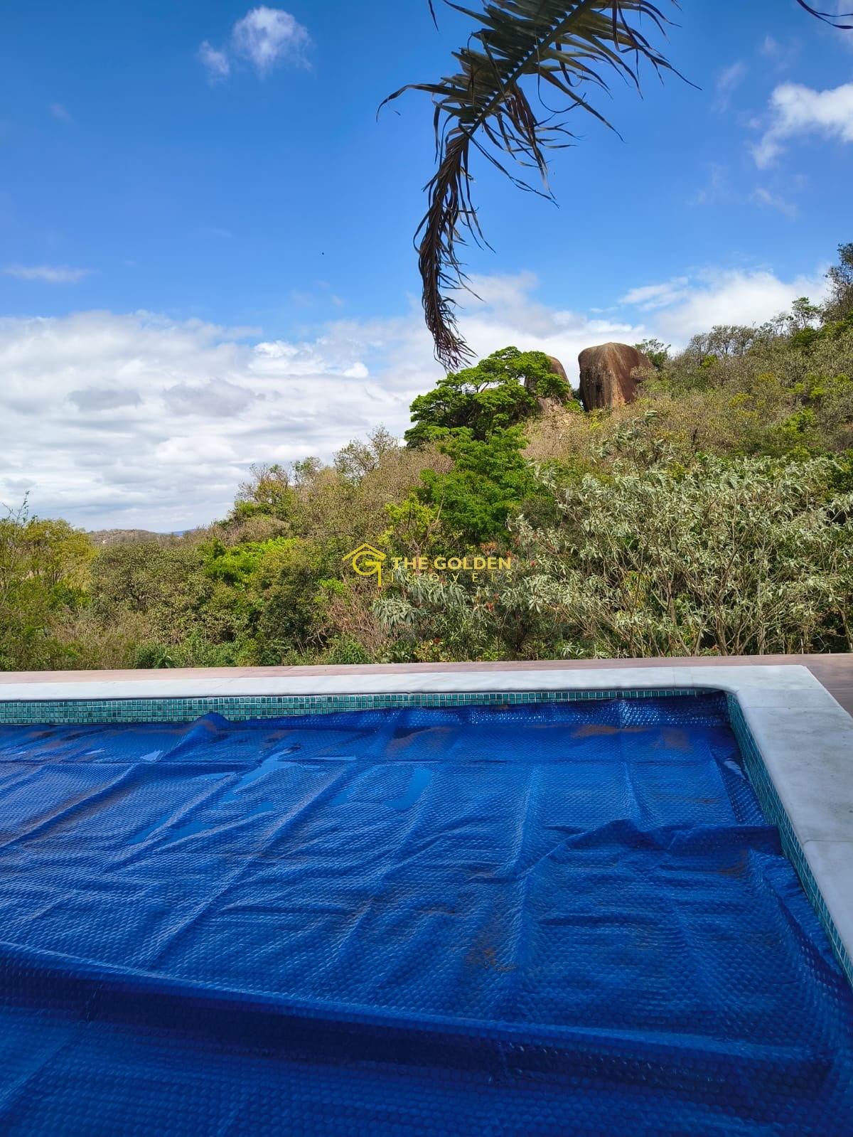 Chácara à venda e aluguel com 3 quartos, 1000m² - Foto 26