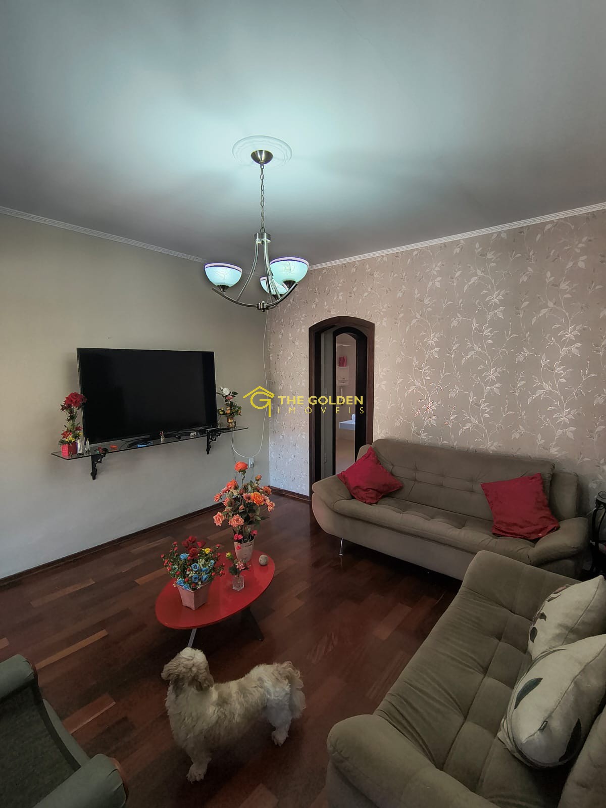 Casa, 3 quartos, 300 m² - Foto 7