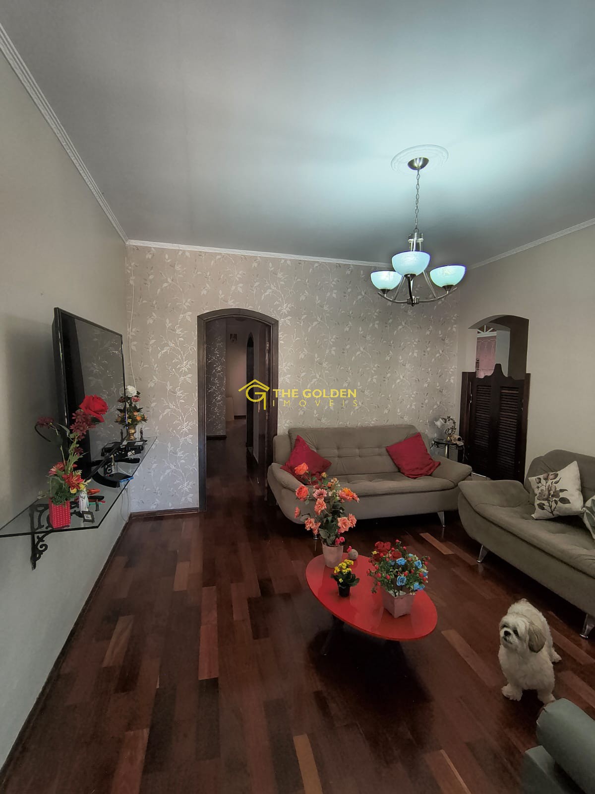 Casa, 3 quartos, 300 m² - Foto 6