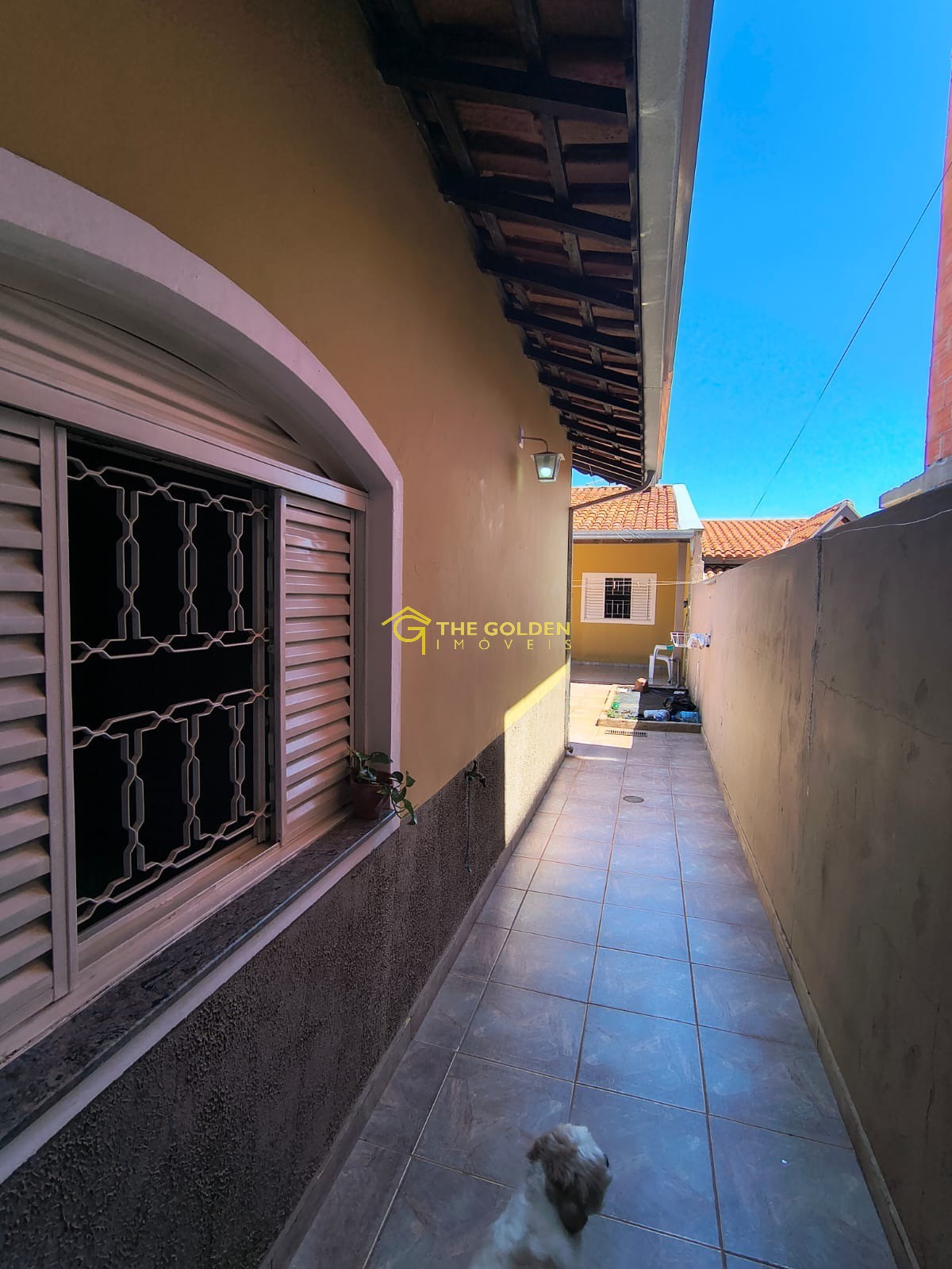 Casa, 3 quartos, 300 m² - Foto 32