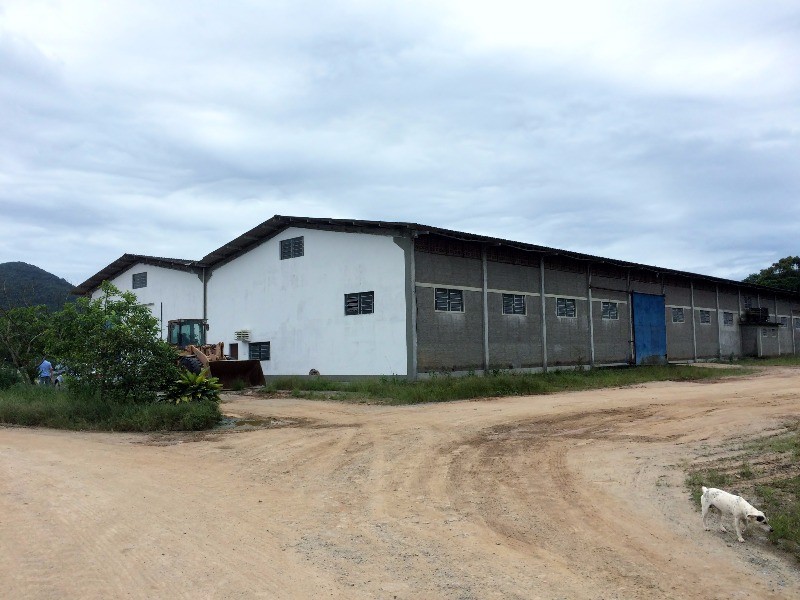 Depósito-Galpão-Armazém à venda - Foto 8