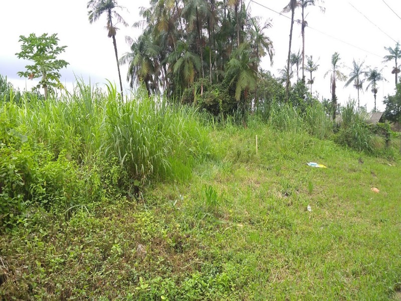 Terreno, 464 m² - Foto 2