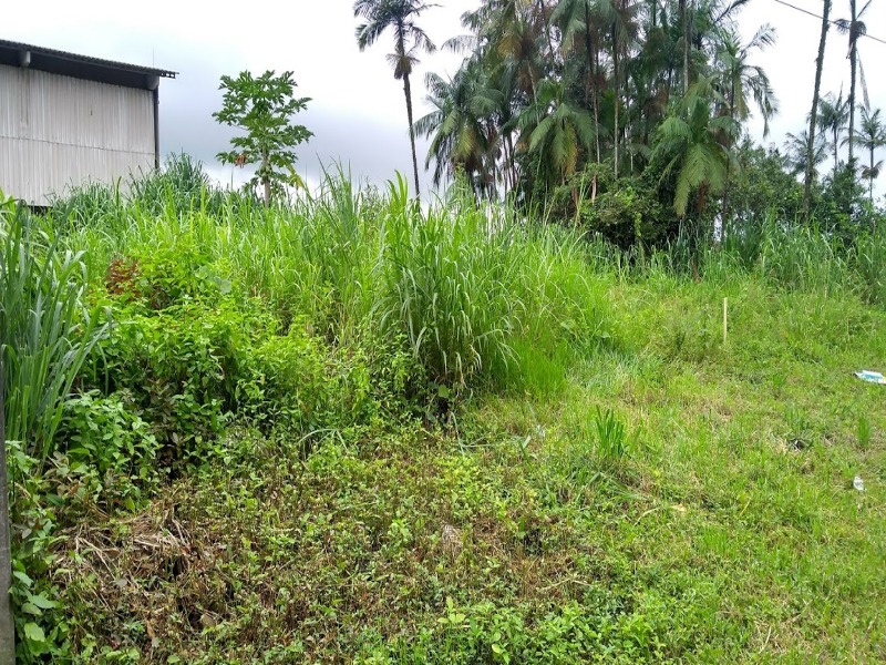 Terreno, 464 m² - Foto 3