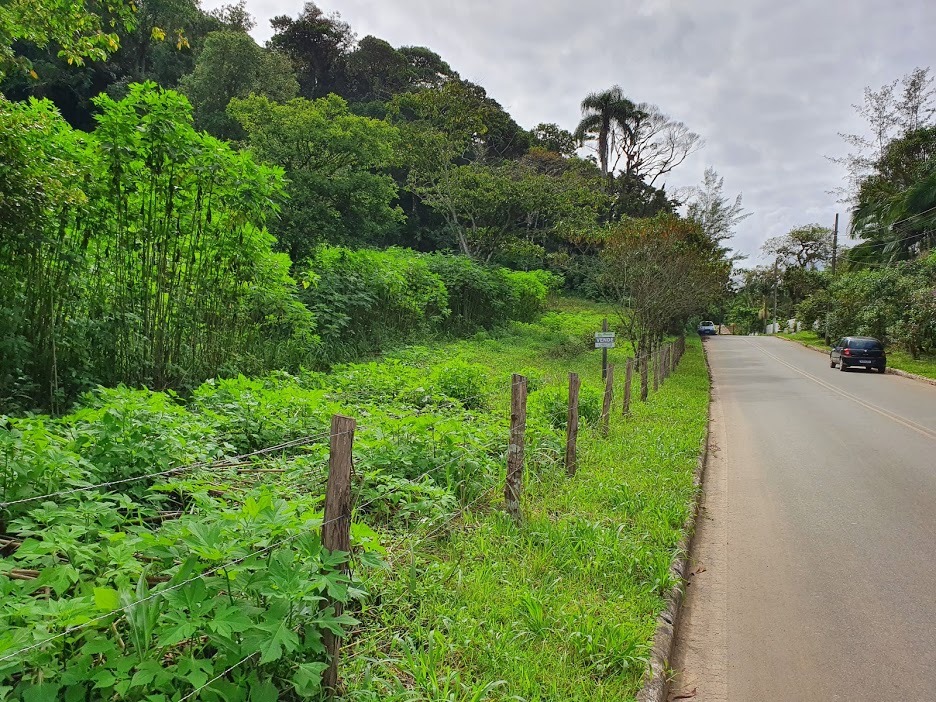 Terreno à venda - Foto 3