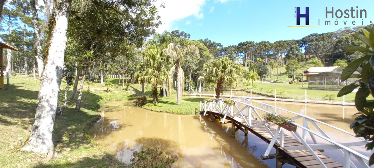 Sítio, 3 quartos, 5 hectares - Foto 15