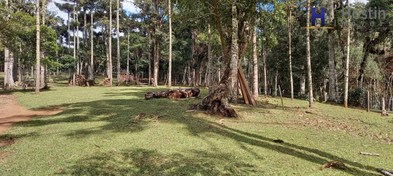 Sítio, 3 quartos, 5 hectares - Foto 14