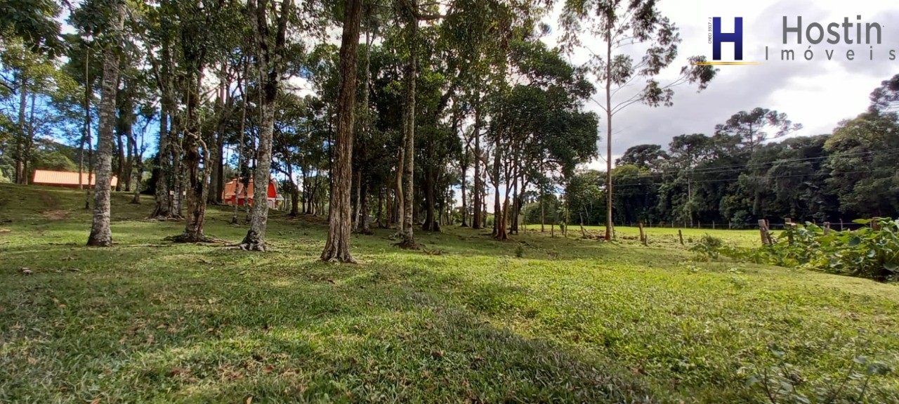Sítio, 3 quartos, 5 hectares - Foto 13