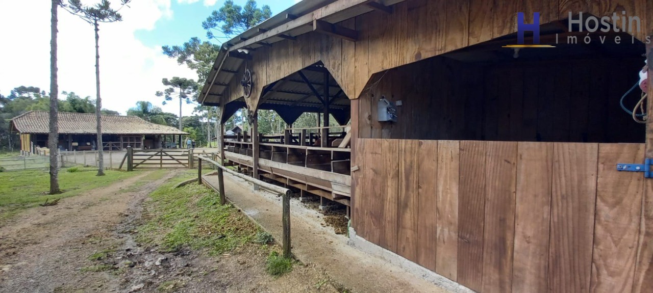 Sítio, 3 quartos, 5 hectares - Foto 26