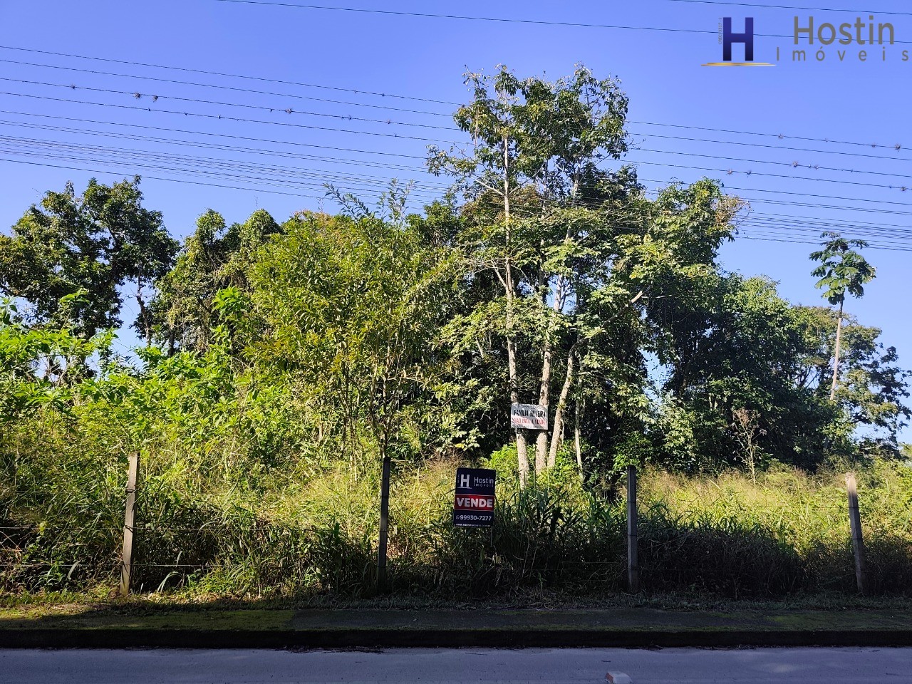 Terreno, 2 hectares - Foto 4