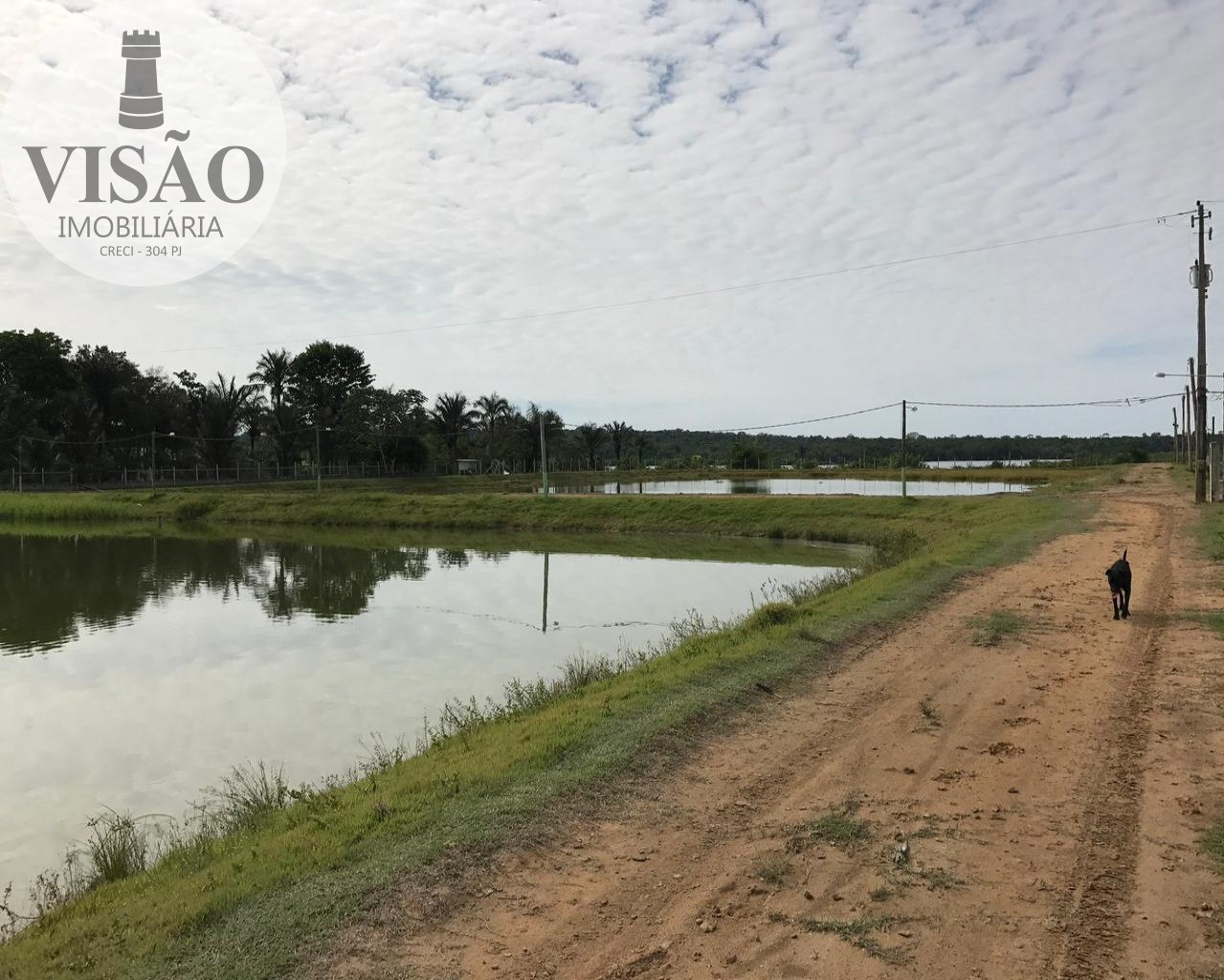 Fazenda à venda com 4 quartos, 8m² - Foto 5