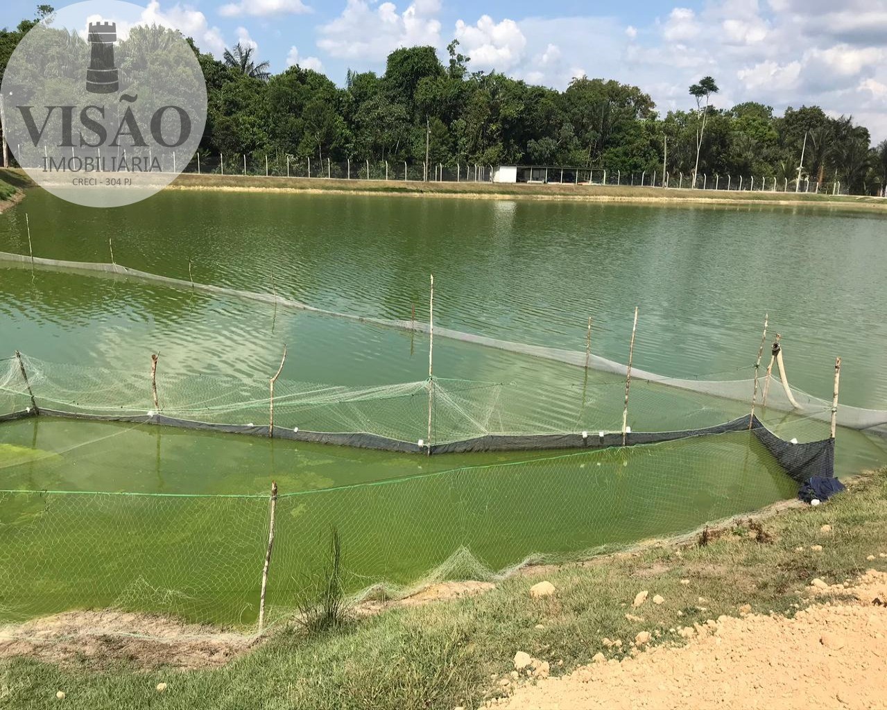 Fazenda à venda com 4 quartos, 8m² - Foto 13