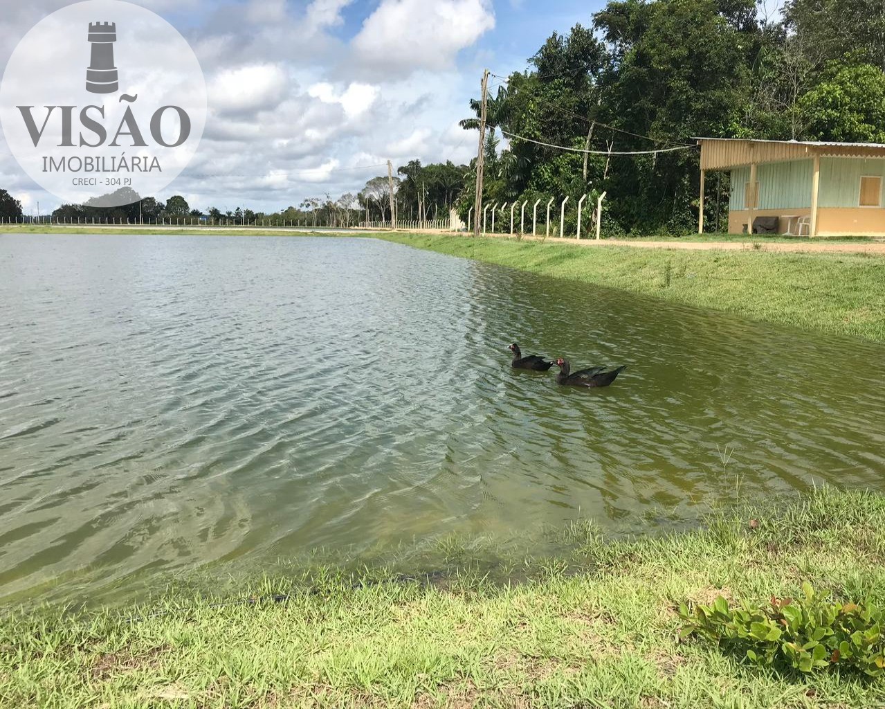 Fazenda à venda com 4 quartos, 8m² - Foto 34