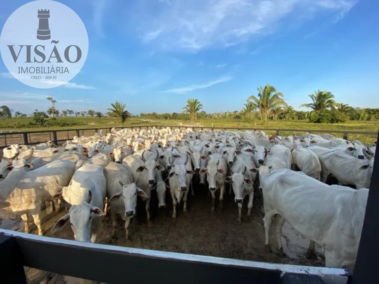 Fazenda à venda com 3 quartos, 428m² - Foto 2