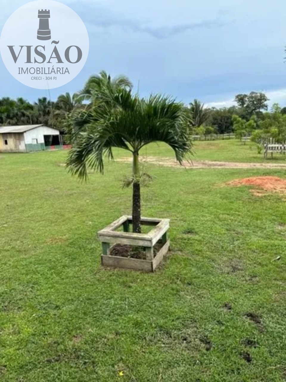 Fazenda à venda com 3 quartos, 428m² - Foto 4