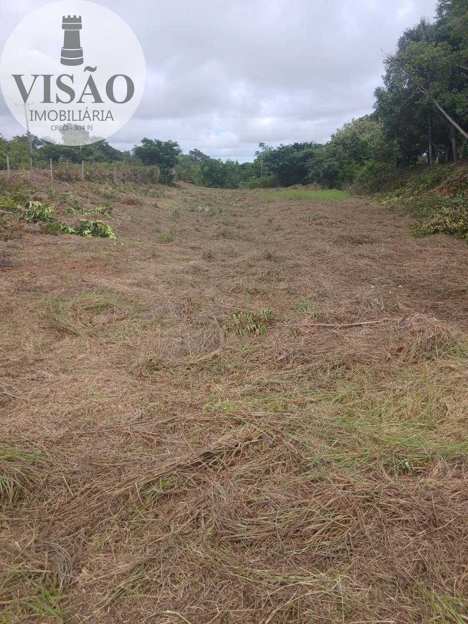 Fazenda, 15 hectares - Foto 3
