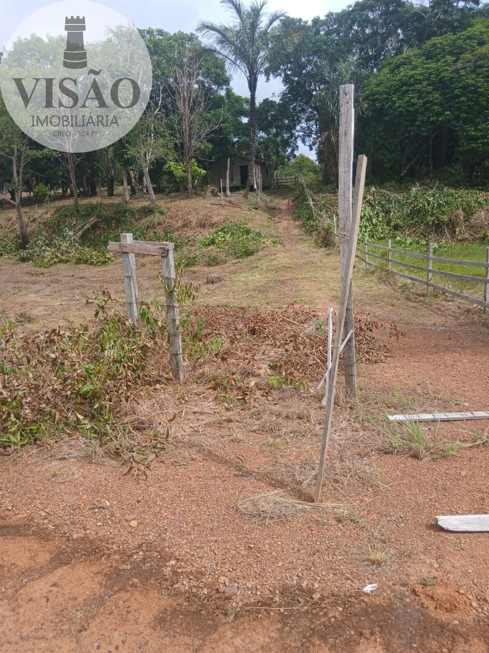 Fazenda, 15 hectares - Foto 7
