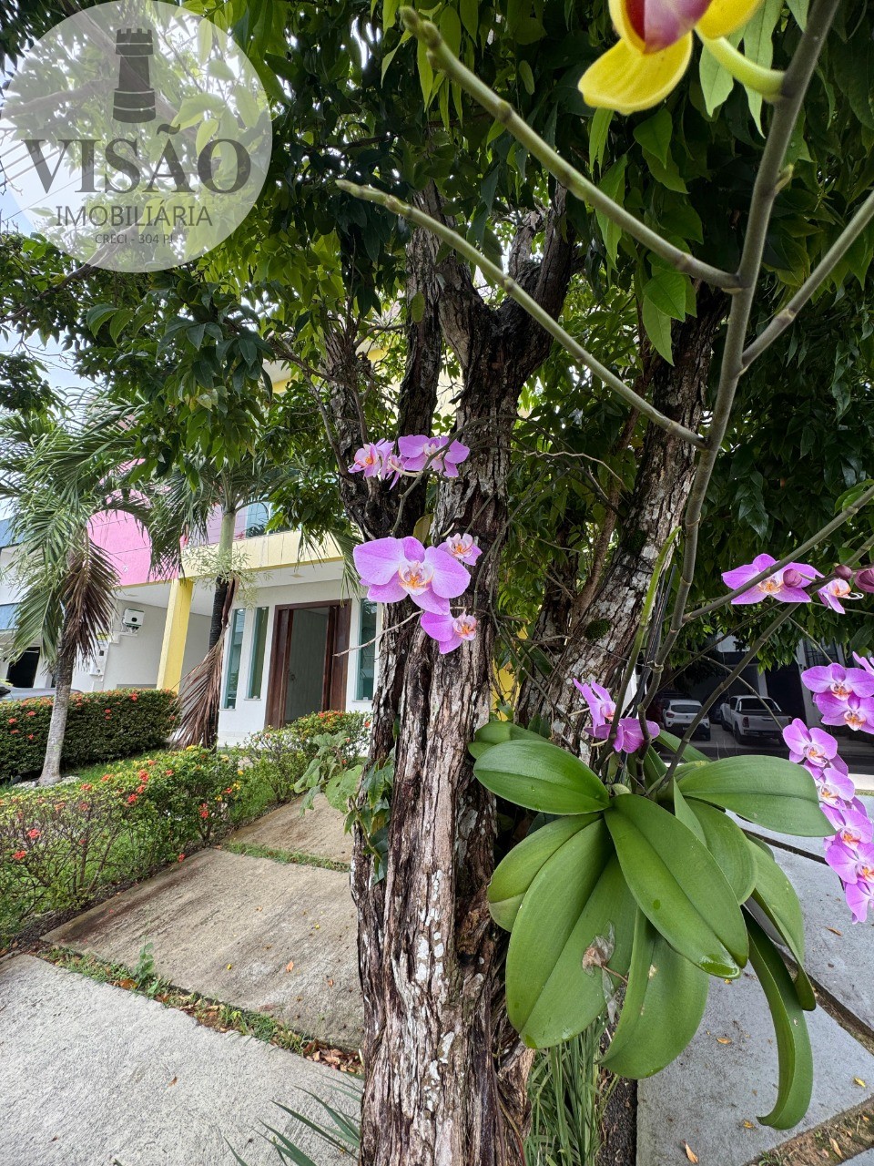 Casa, 5 quartos - Foto 2