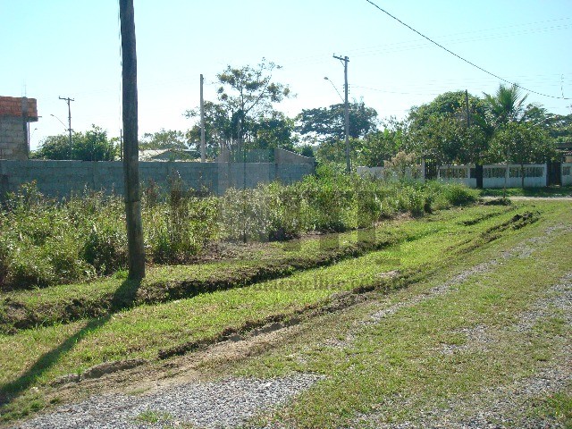 Terreno à venda, 125m² - Foto 5