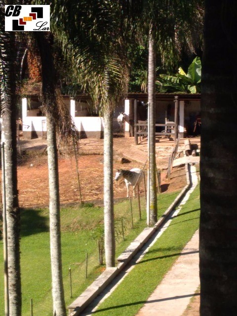 Fazenda à venda com 6 quartos, 10000m² - Foto 3