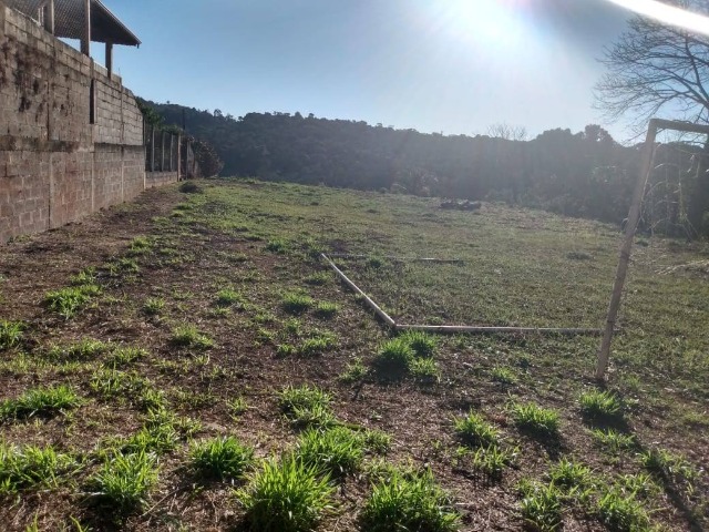 Terreno à venda, 1000m² - Foto 3