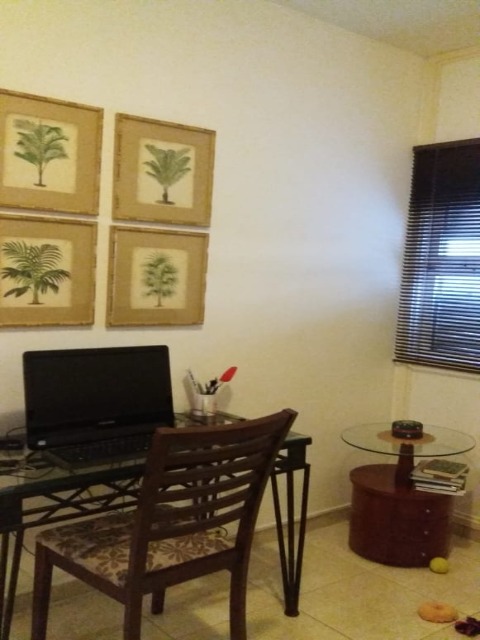 Apartamento à venda com 3 quartos, 160m² - Foto 11