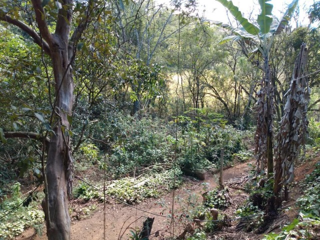 Fazenda à venda com 4 quartos, 1724m² - Foto 12