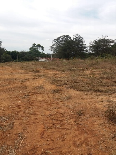 Terreno à venda, 600m² - Foto 2