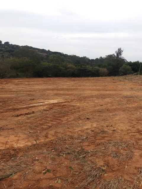 Terreno à venda, 600m² - Foto 4