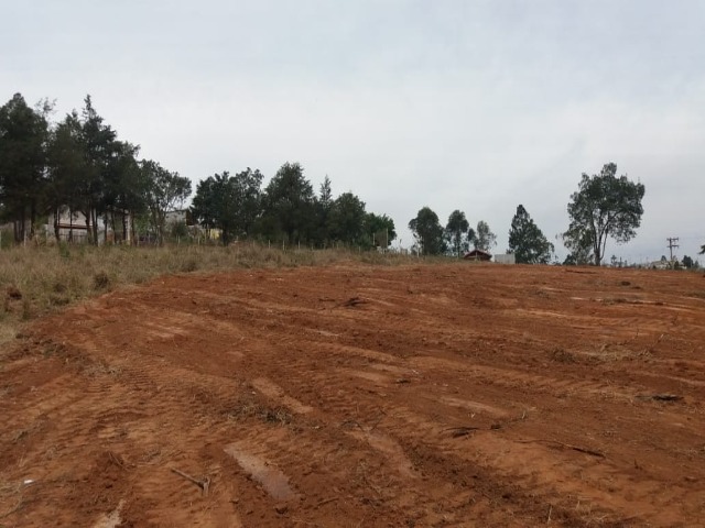 Terreno à venda, 600m² - Foto 5