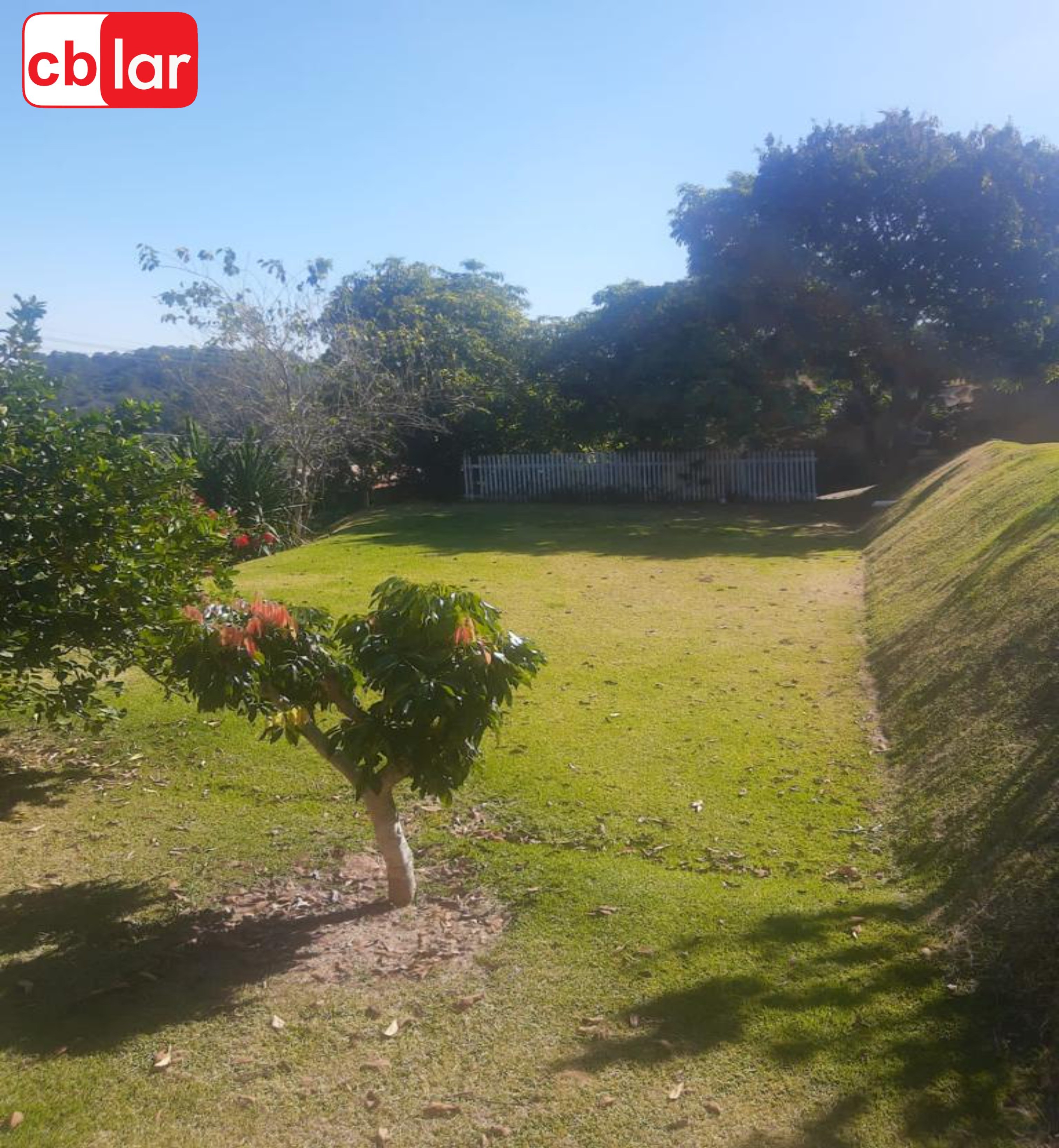 Fazenda à venda com 3 quartos, 1098m² - Foto 37