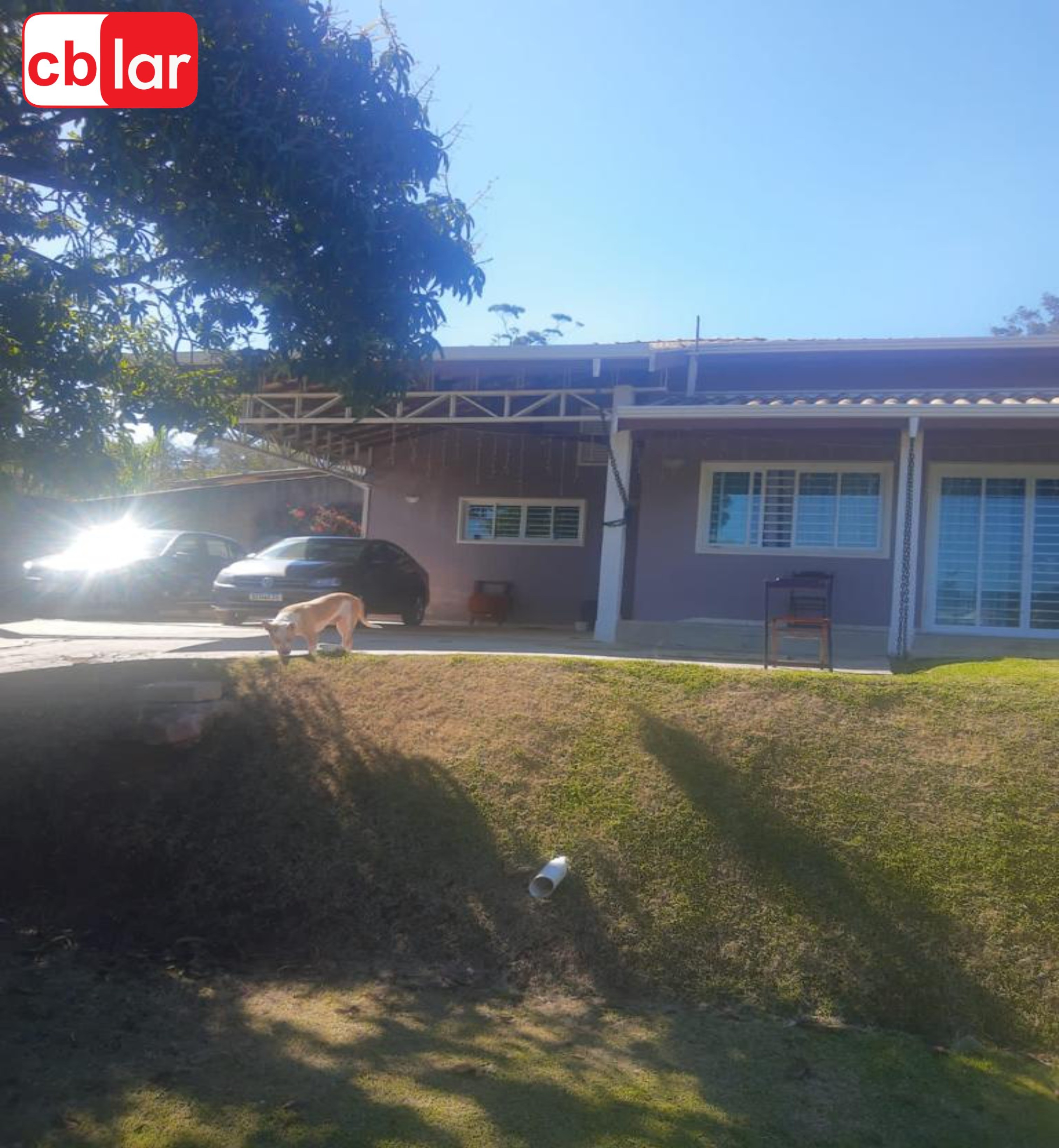 Fazenda à venda com 3 quartos, 1098m² - Foto 38