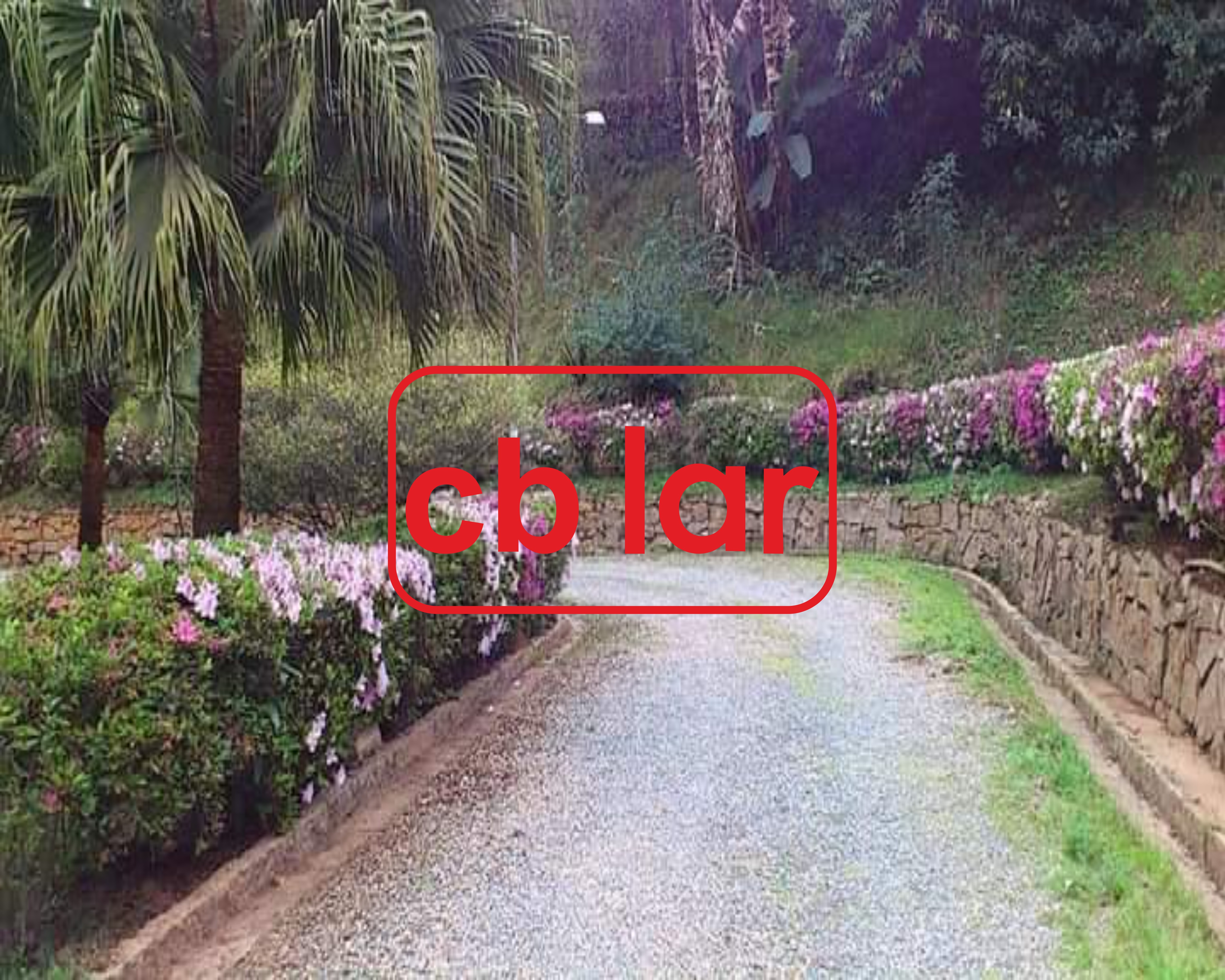 Sítio, 2 quartos, 6900 m² - Foto 8