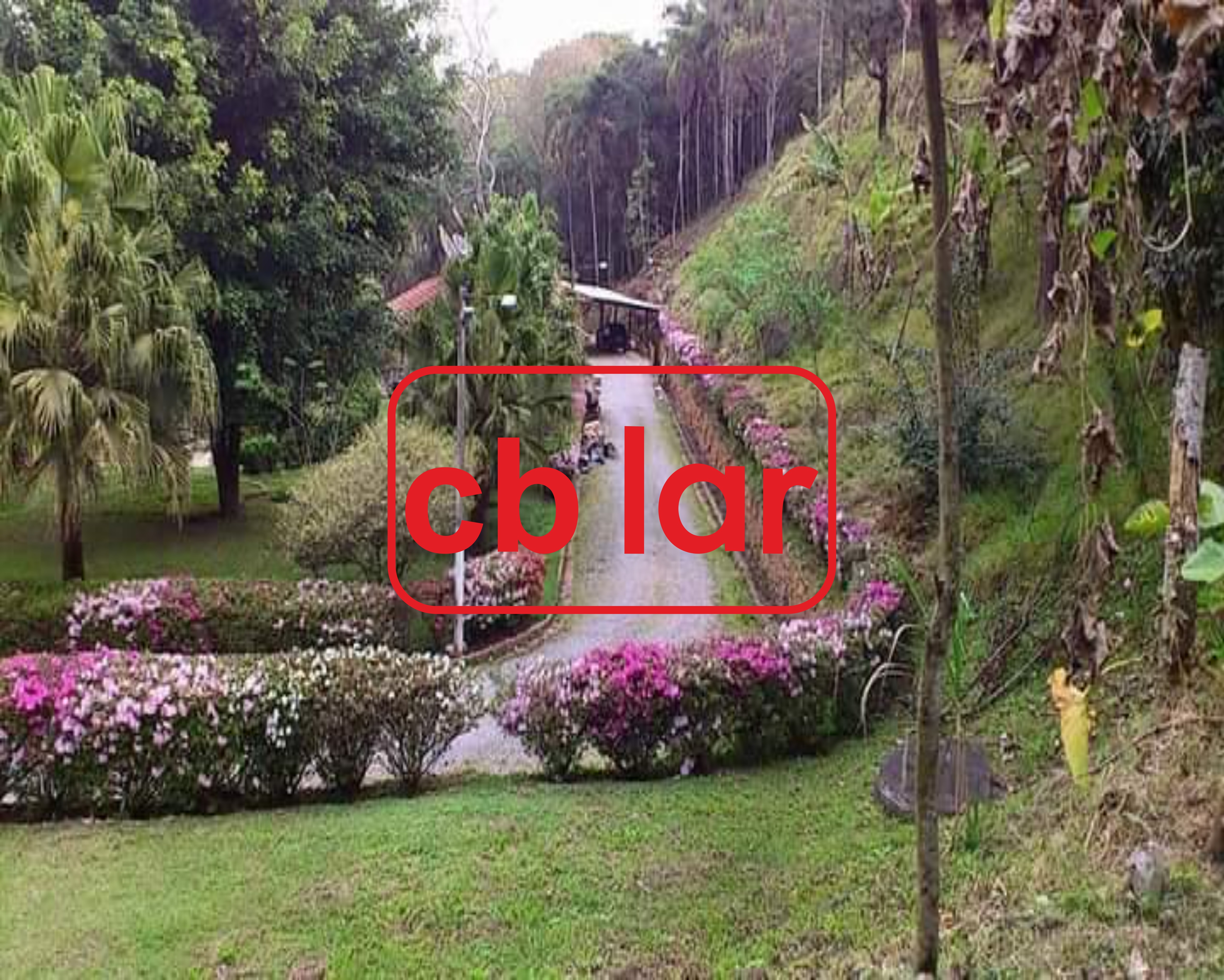 Sítio, 2 quartos, 6900 m² - Foto 2
