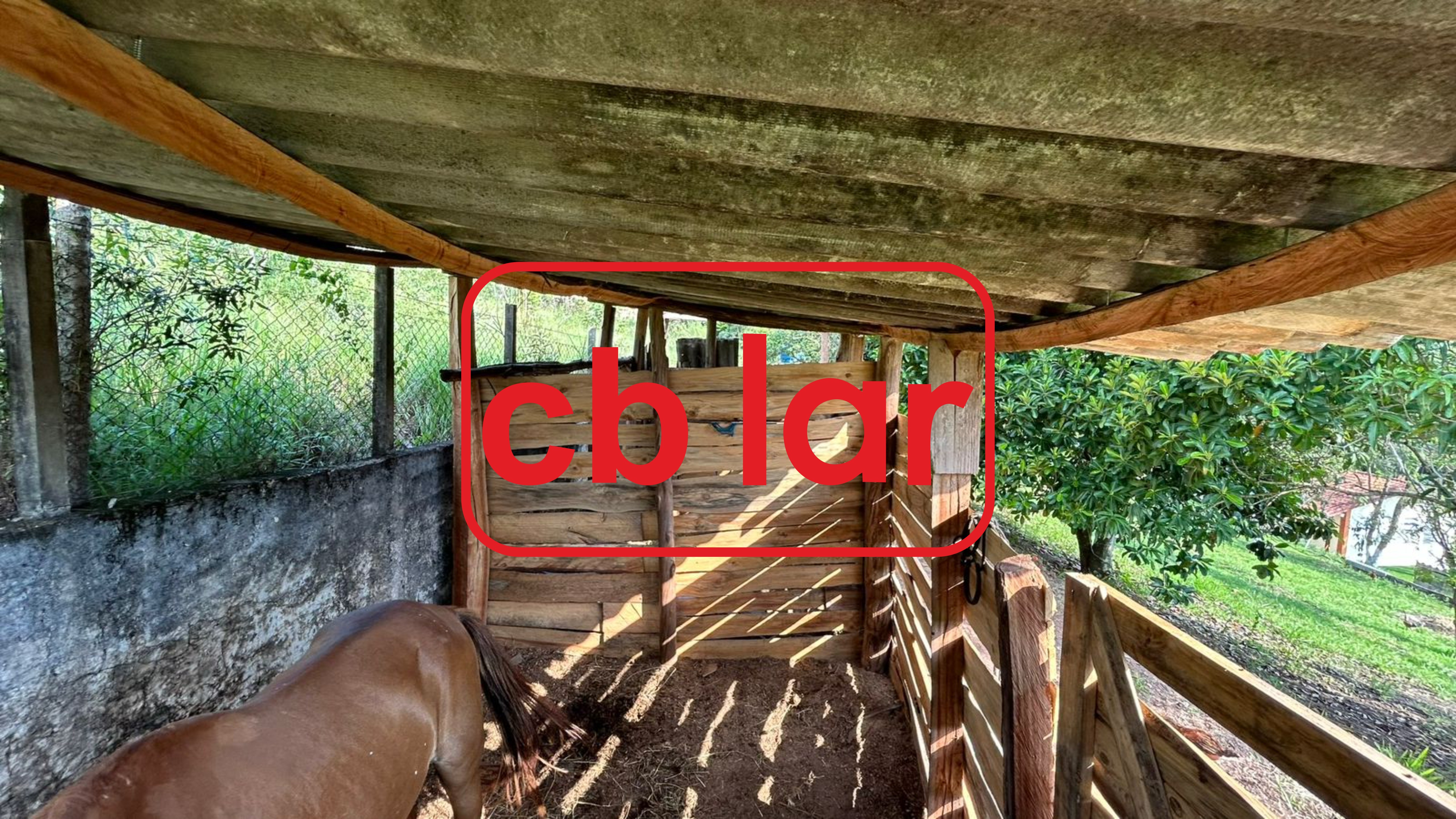 Chácara à venda e aluguel com 3 quartos, 700m² - Foto 20