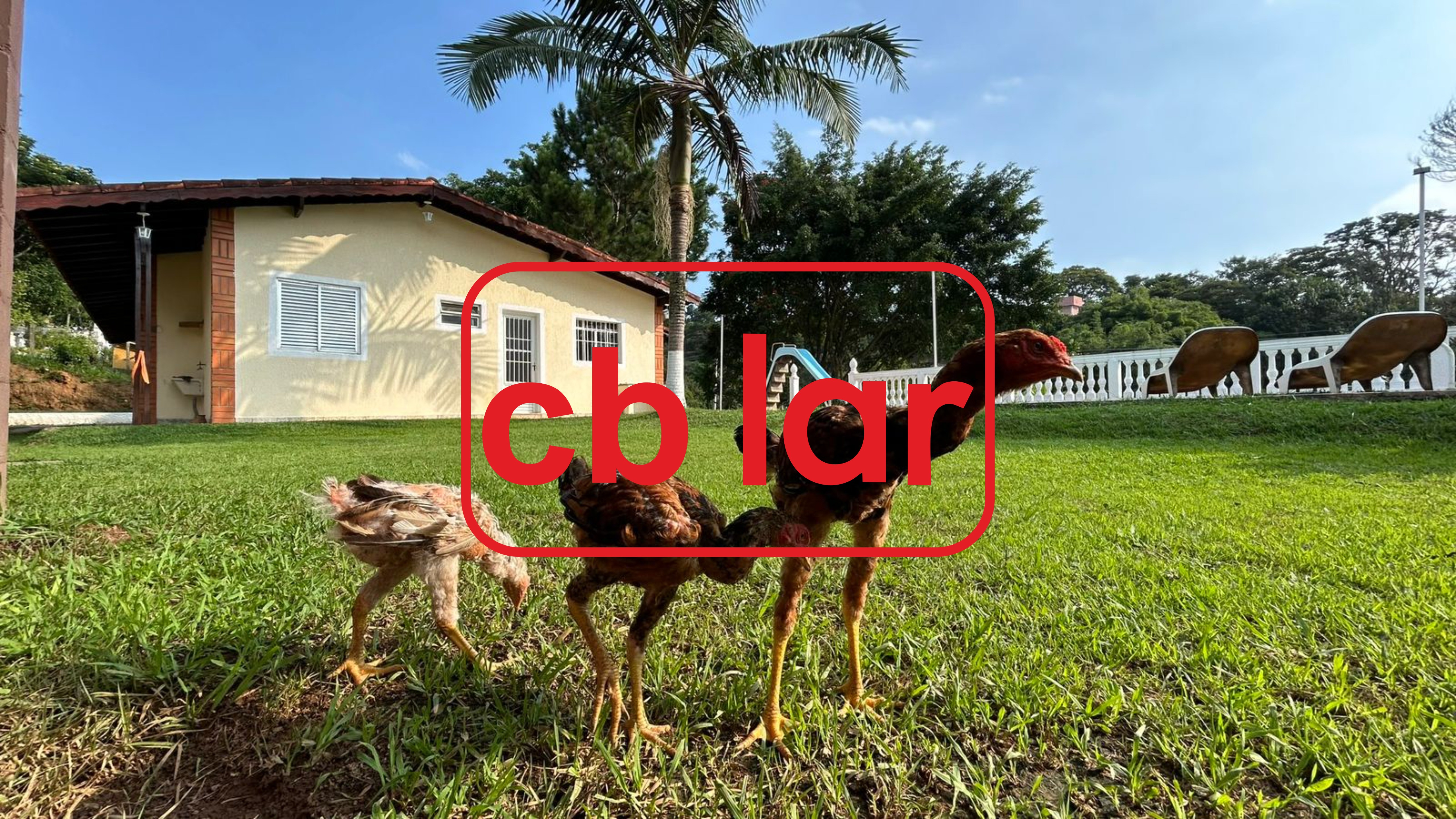 Chácara à venda e aluguel com 3 quartos, 700m² - Foto 36