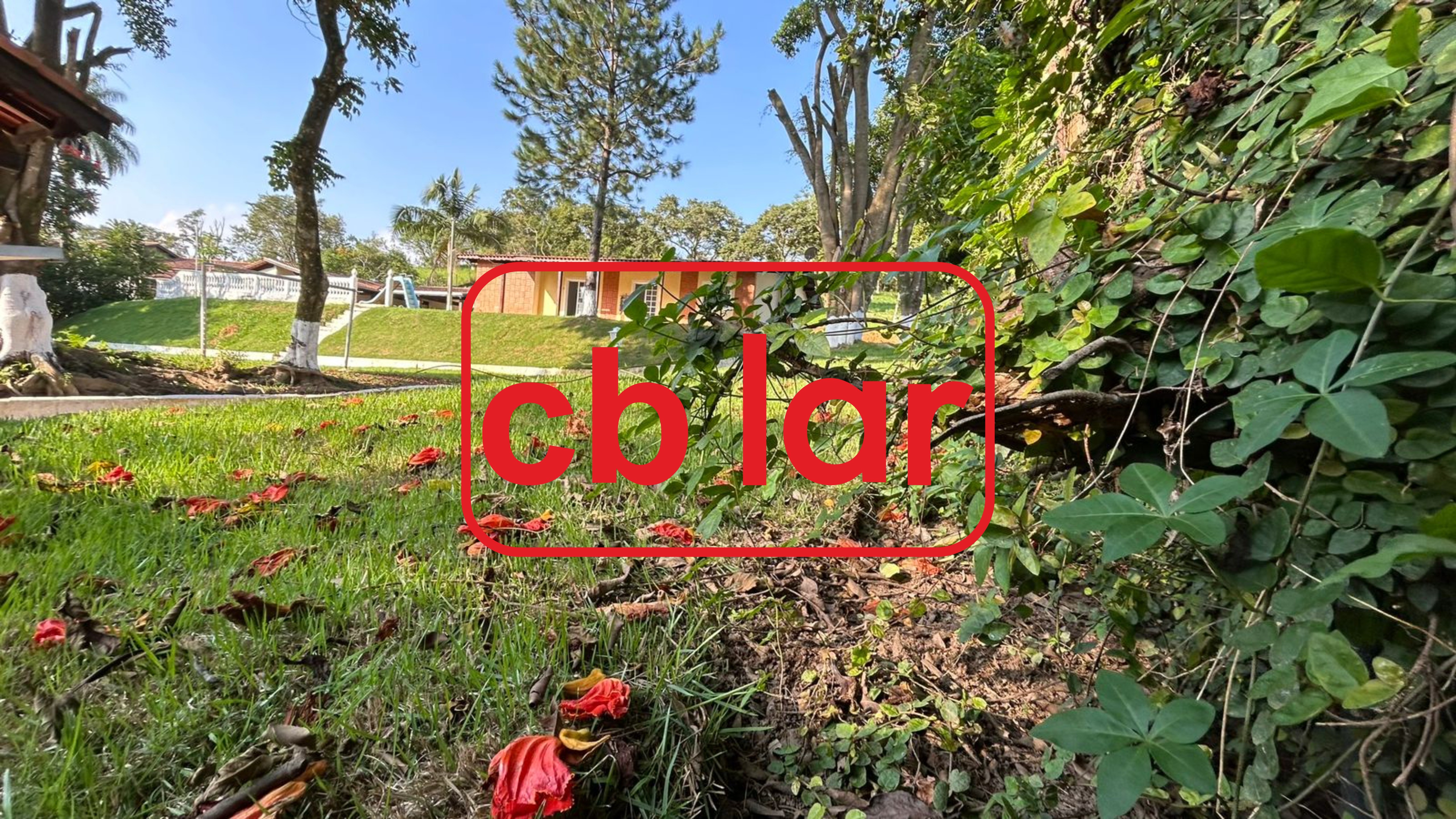 Chácara à venda e aluguel com 3 quartos, 700m² - Foto 87