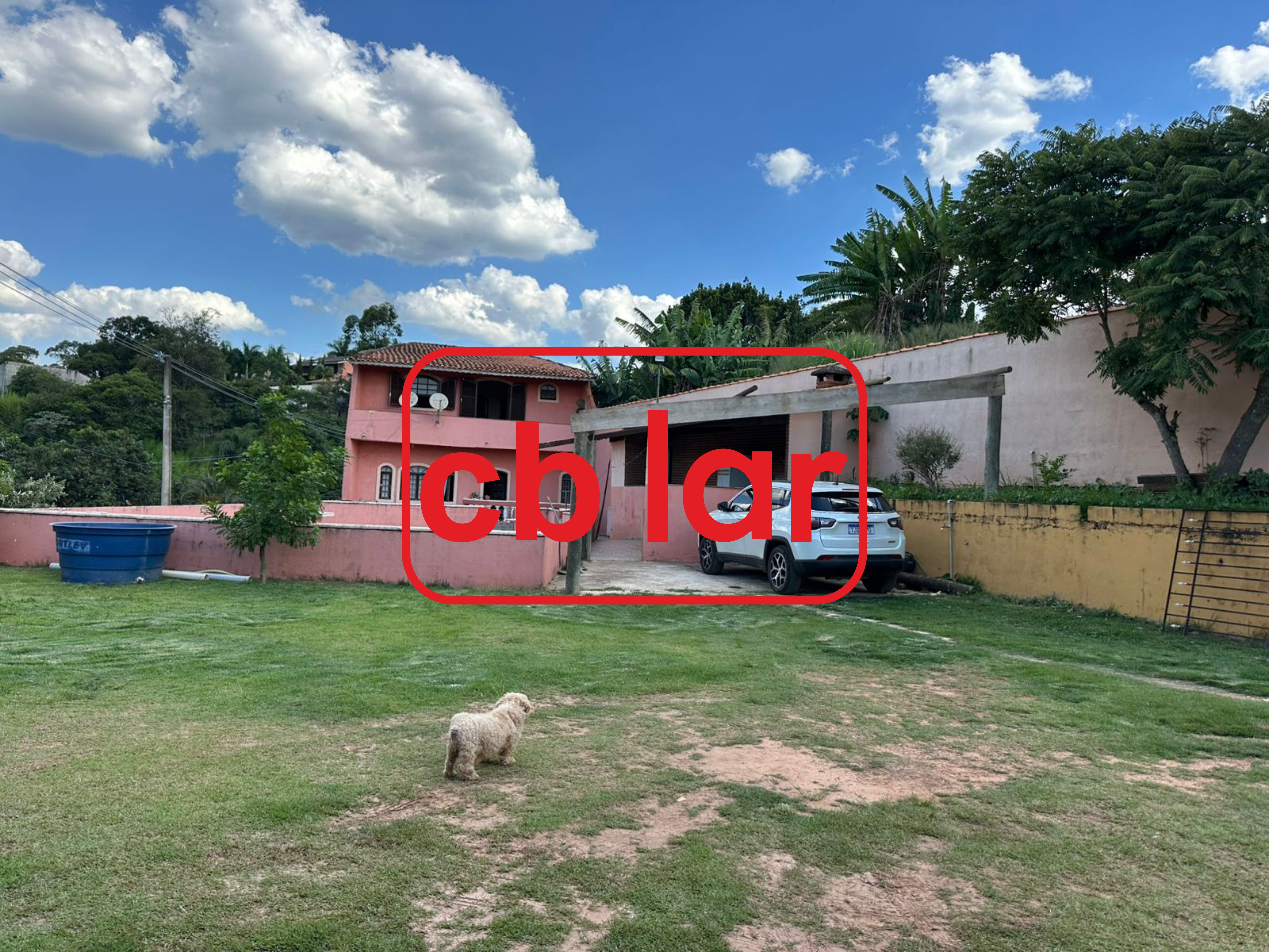 Fazenda à venda com 3 quartos, 1000m² - Foto 4