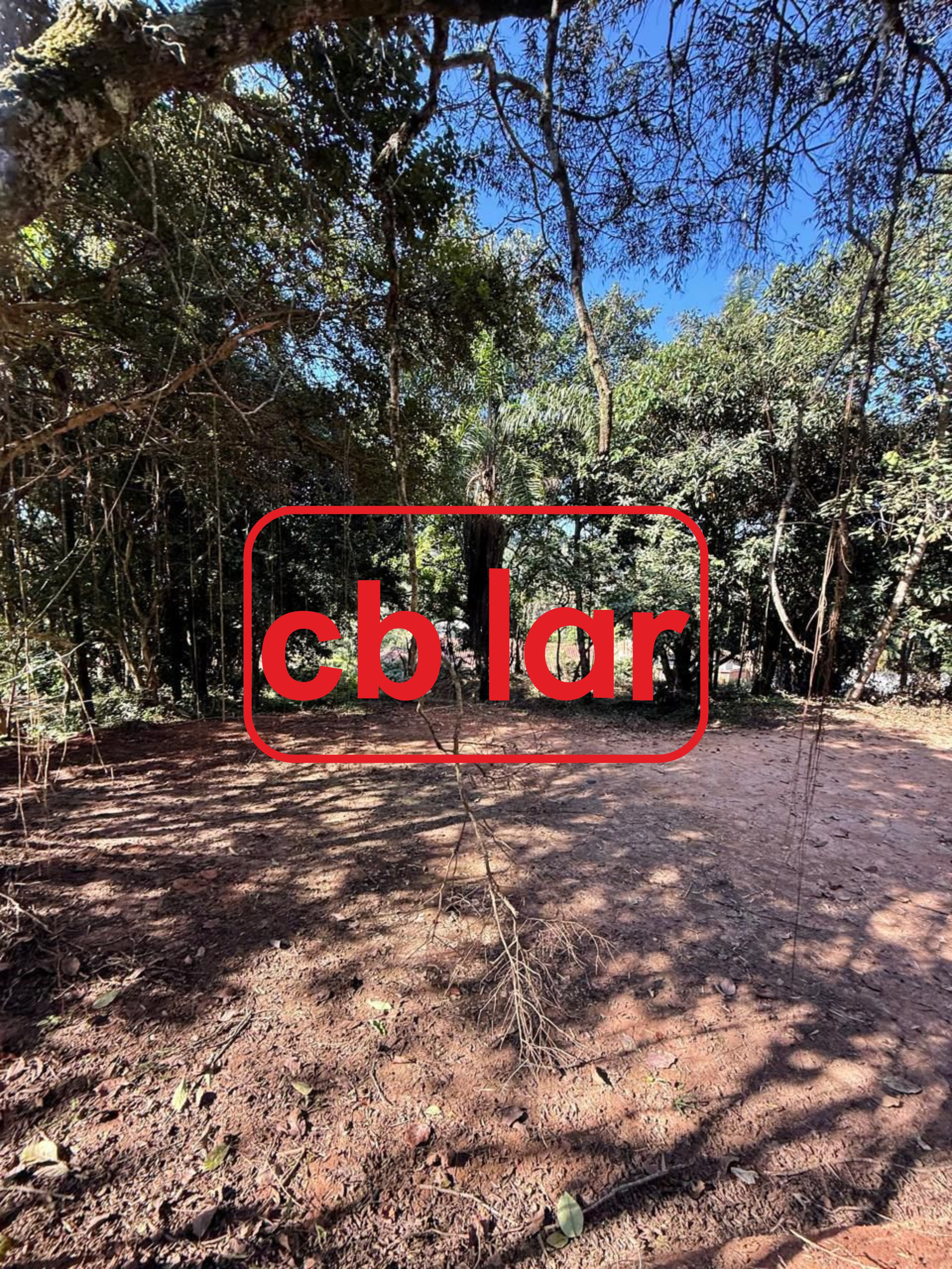 Terreno, 2142 m² - Foto 3