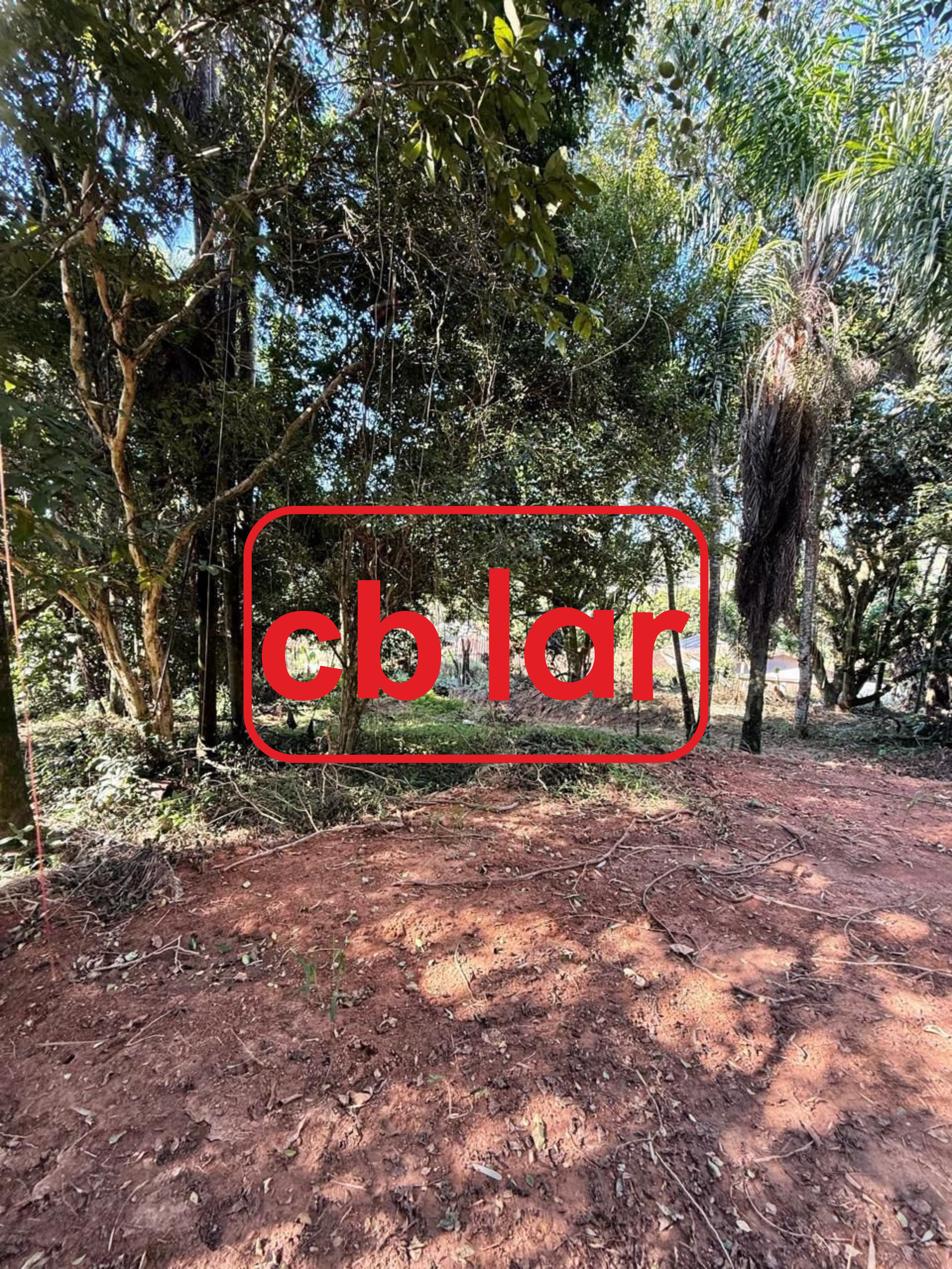 Terreno, 2142 m² - Foto 8