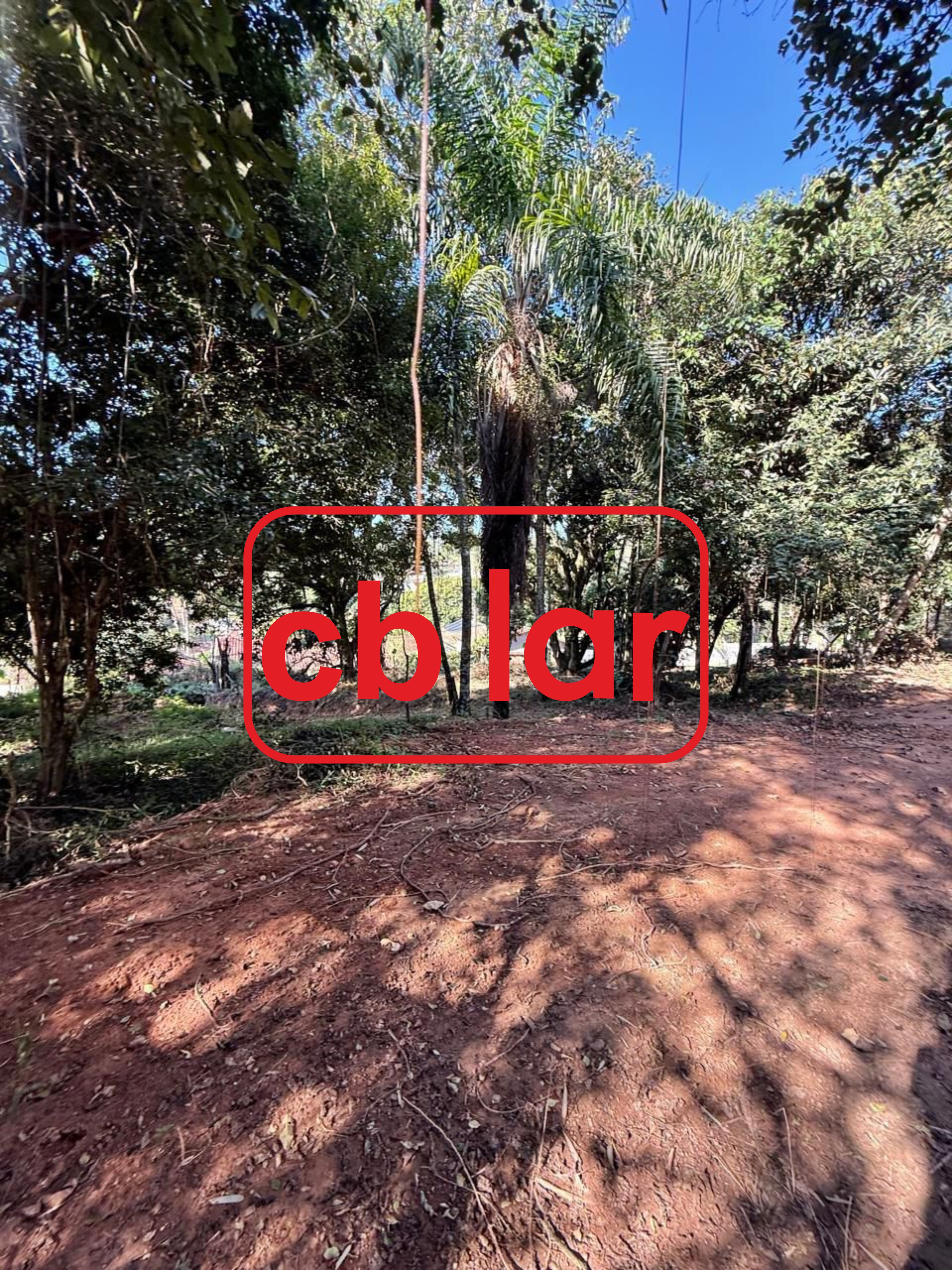 Terreno, 2142 m² - Foto 7